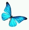 Hsvti ajndk: hivatalos MorphOS frissts!