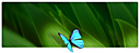 MorphOS 2.0 bemutat