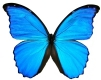 �sszefoglal� h�rek